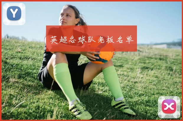 英超各球队老板名单