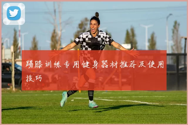踢膝训练专用健身器材推荐及使用技巧