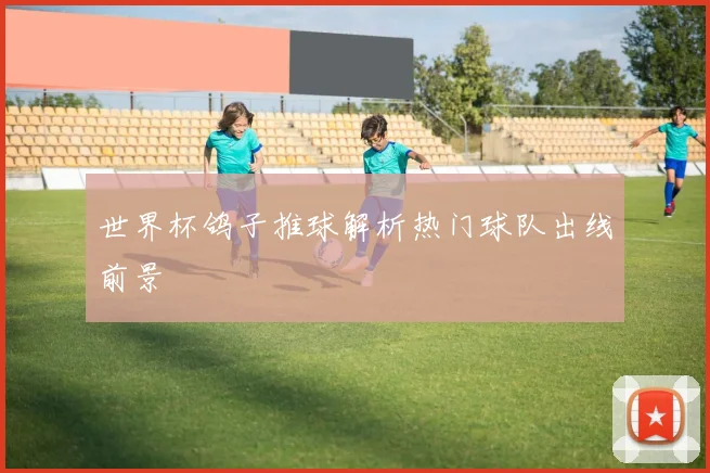 世界杯鸽子推球解析热门球队出线前景