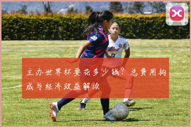 主办世界杯要花多少钱?总费用构成与经济效益解读