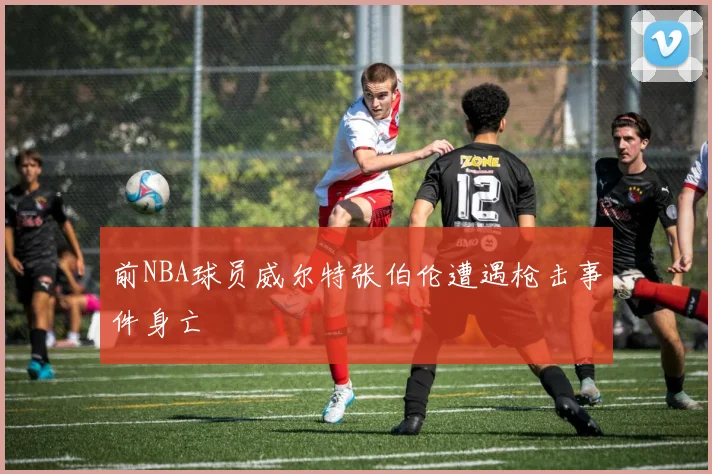 前NBA球员威尔特张伯伦遭遇枪击事件身亡