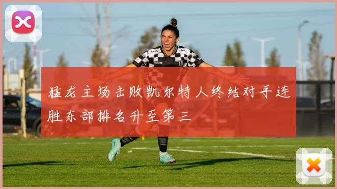 猛龙主场击败凯尔特人终结对手连胜东部排名升至第三