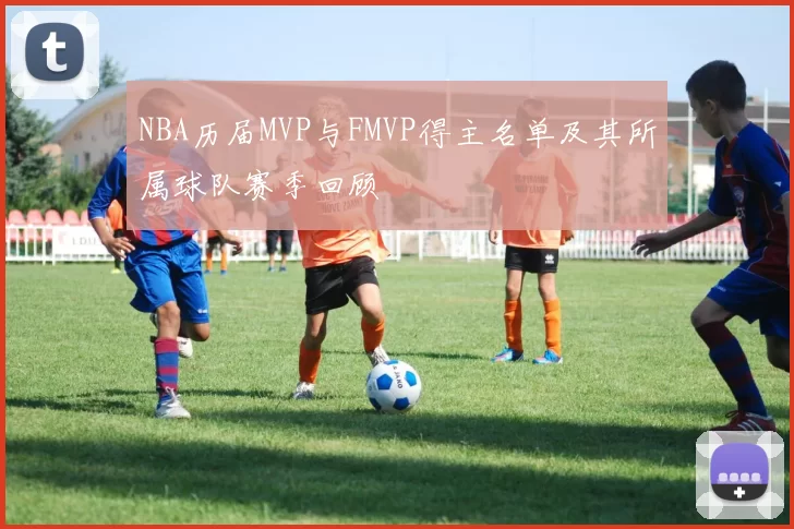 NBA历届MVP与FMVP得主名单及其所属球队赛季回顾