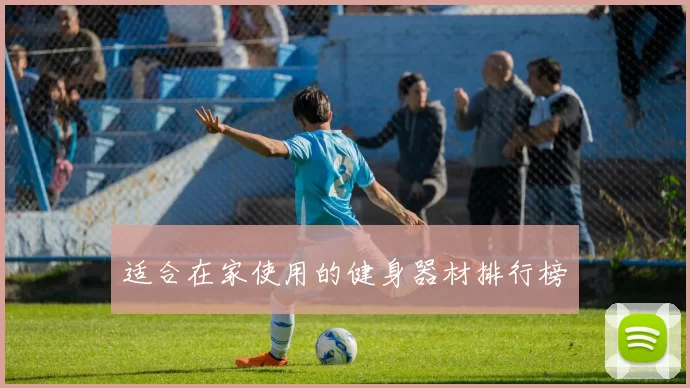 适合在家使用的健身器材排行榜