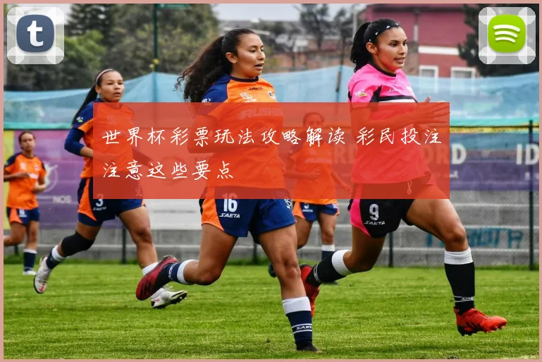 世界杯彩票玩法攻略解读 彩民投注注意这些要点