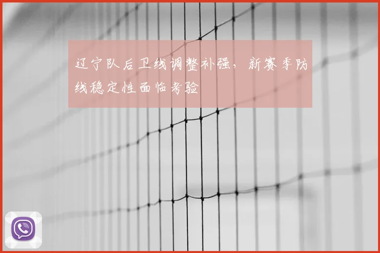 辽宁队后卫线调整补强，新赛季防线稳定性面临考验