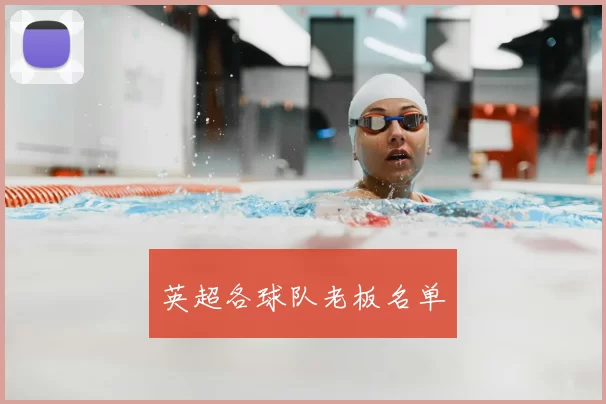 英超各球队老板名单