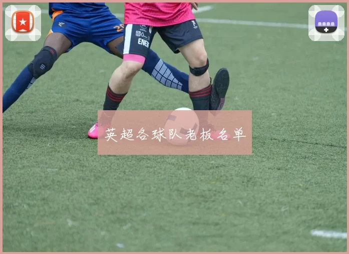 英超各球队老板名单