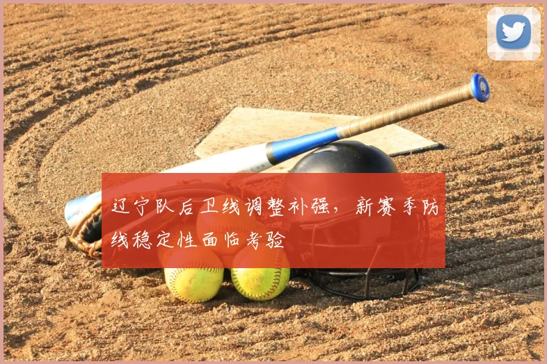 辽宁队后卫线调整补强,新赛季防线稳定性面临考验