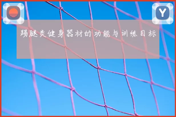 踢腿类健身器材的功能与训练目标