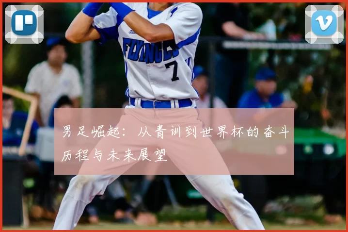 男足崛起：从青训到世界杯的奋斗历程与未来展望