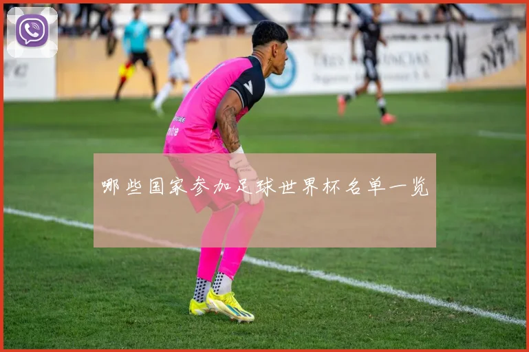 哪些国家参加足球世界杯名单一览
