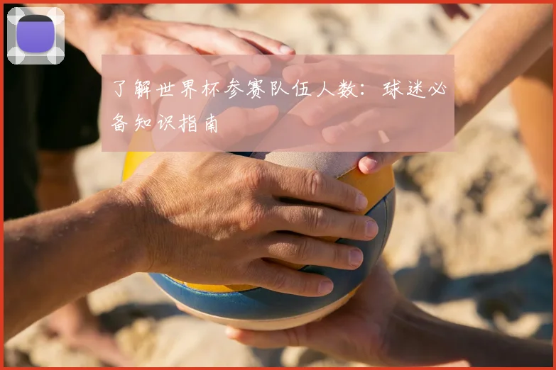 了解世界杯参赛队伍人数:球迷必备知识指南