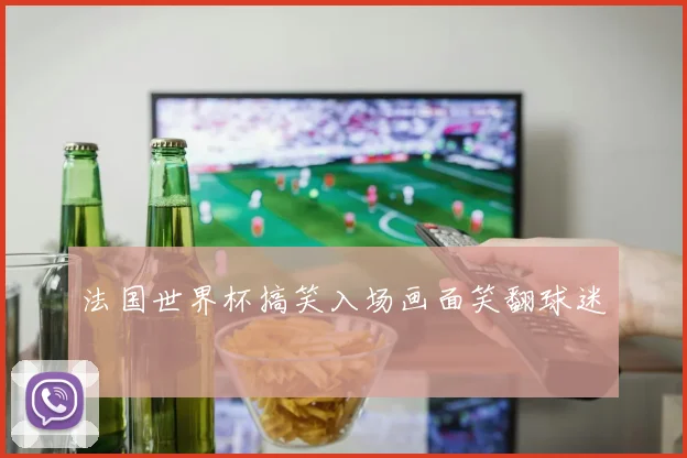 法国世界杯搞笑入场画面笑翻球迷