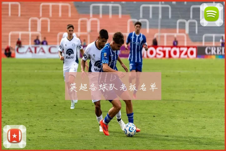 英超各球队老板名单