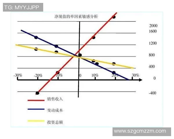 广州网球队选拔赛表现分析与状态评估全面解读 广州网球队选拔赛表现分析与状态评估全面解读