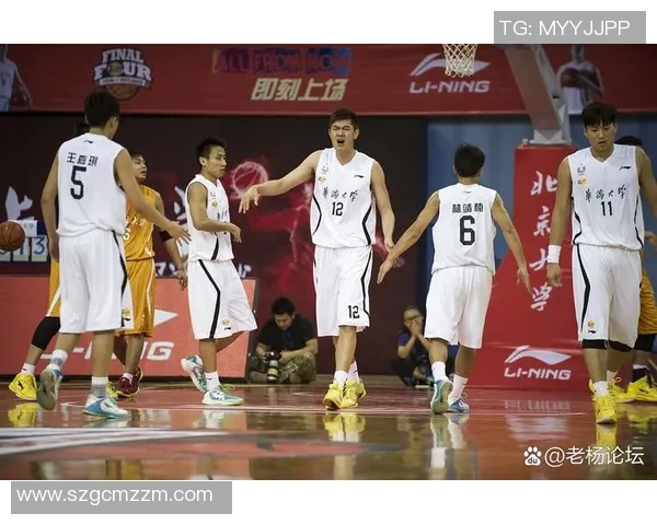 深圳足球队在联赛中的团队协作表现分析与展望