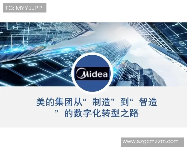 南京网球队的转型之路:得失与挑战并存的深度分析 南京网球队的转型之路:得失与挑战并存的深度分析