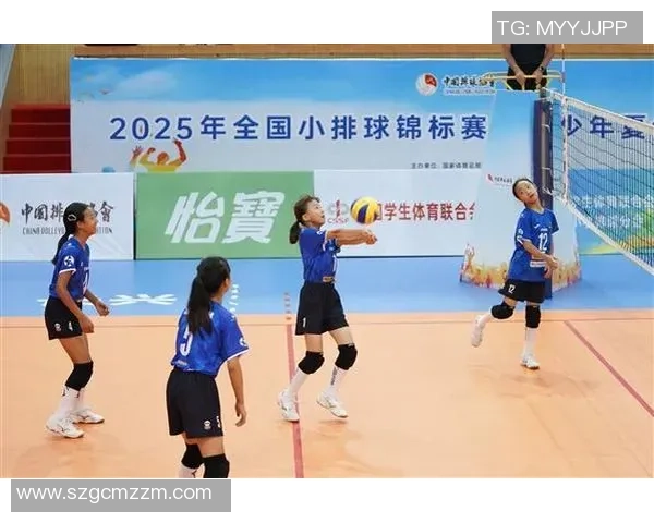 成都排球队在全国排球团队协作排行榜中荣获第三名的佳绩分析